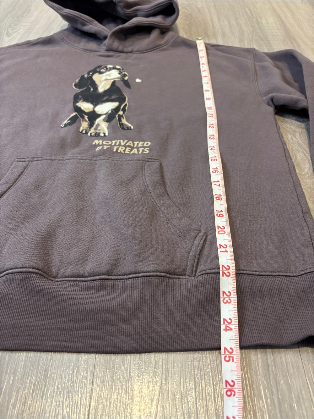 Wild Fable “Motivated by Treats” Dachshund Hoodie - Picture 11 of 11